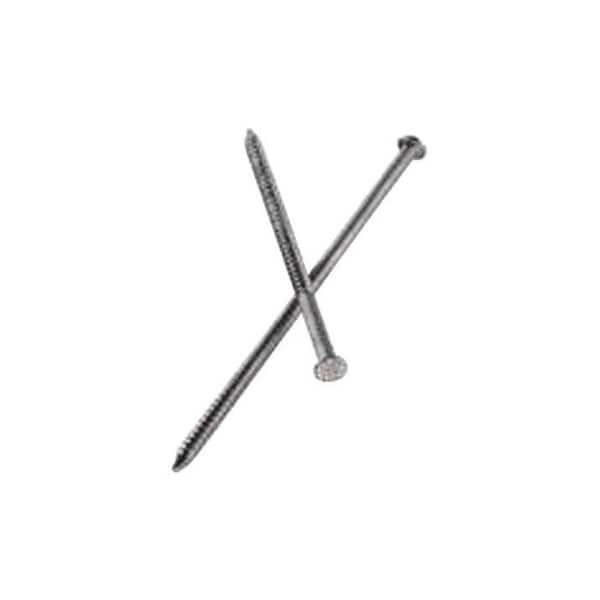 Roofing Nail, 2 in L, 6D, 316 Stainless Steel, Painted Finish, 13 ga